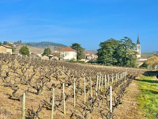 SUPERBE MAISON ANCIENNE RENOVEE DANS UN PARC CLOS DE MURS