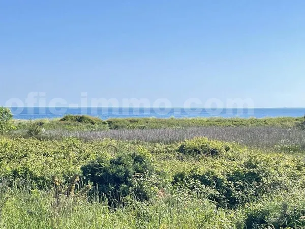 Maison vue mer - Presqu'île de Rhuys- Accès direct plage