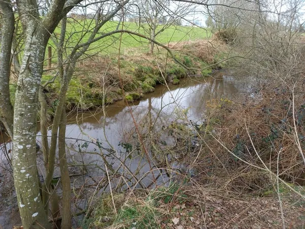 TERRAIN DE LOISIR
