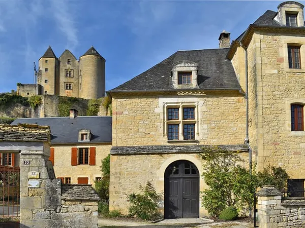 Demeure de prestige Salignac Eyvignes 9 pièce(s) 275 m2