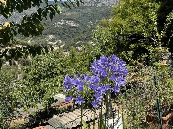Terrain 1516 m²