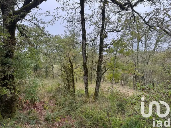 Terrain 1420 m²
