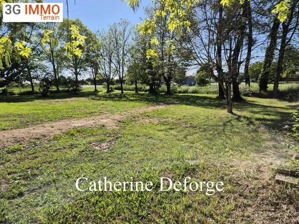 Terrain constructible