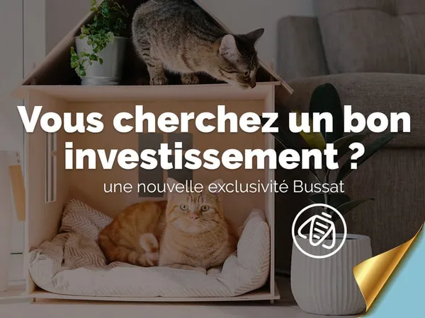 Vente plateau à aménager avec grenier au-dessus - Mermoz