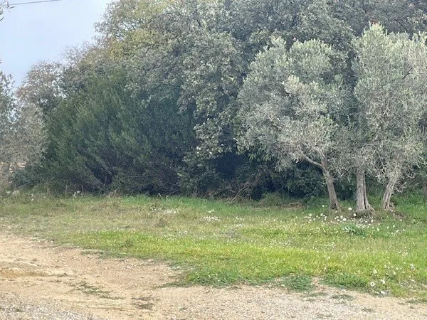 Terrain 408 m²