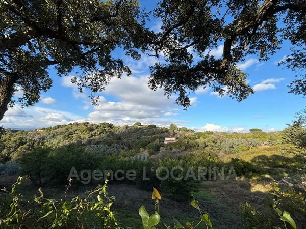 Vente terrain