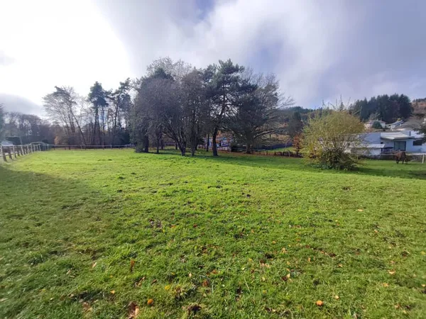 Terrain constructible