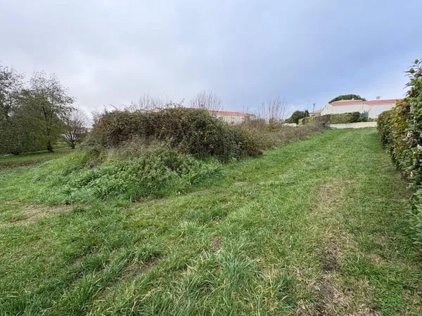 Terrain constructible