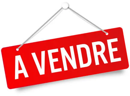 Appartement avez mezzanine en centre village