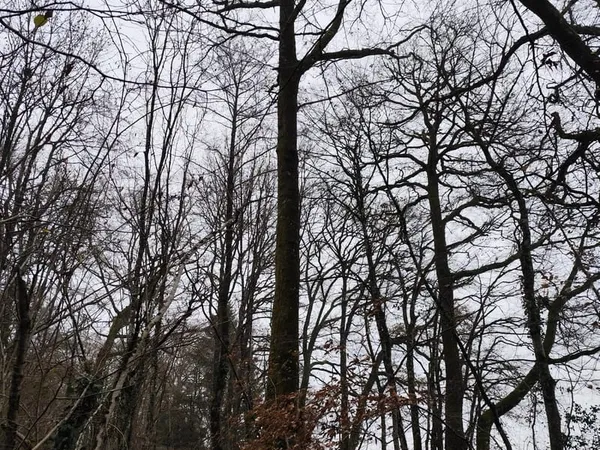 Terrain 29105 m²