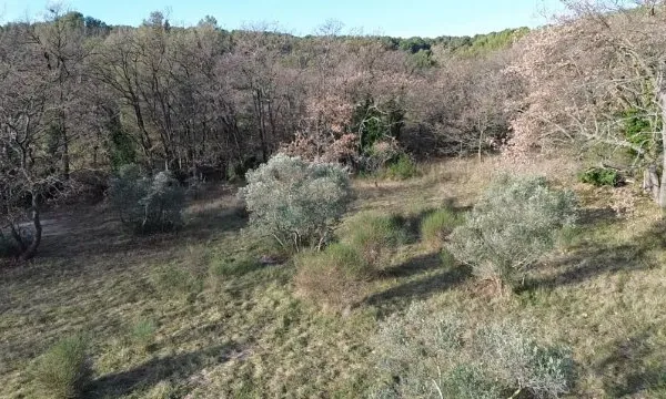 TERRAIN CONSTRUCTIBLE A VENDRE SUR EGUILLES