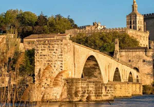 EXCLUSIVITÉ: Maison du XVIIeme siècle / Avignon intra-muros 9 pièce(s) 280 m2 / jardin et bassin
