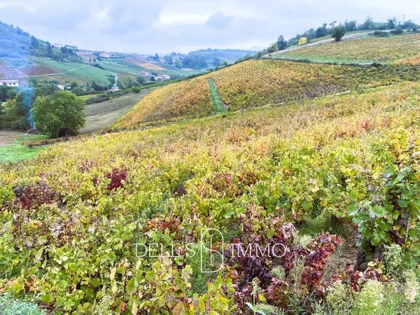 AOP FLEURIE