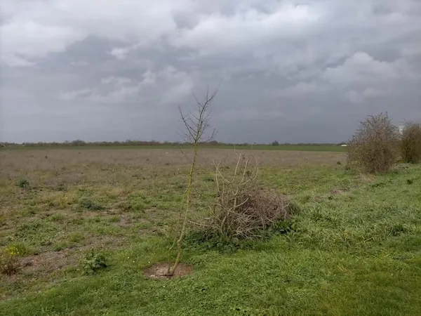 Petit terrain bien situé 