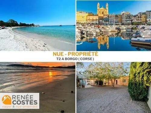 Vente en nue propriété - F79-H72 ans - BORGO (20290) 