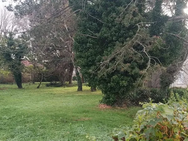 Terrain - 973m ² 