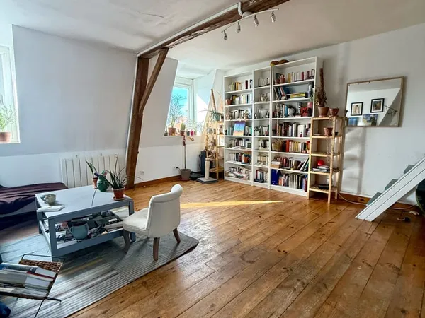 Lille Centre - magnifique appartement cosy ! 