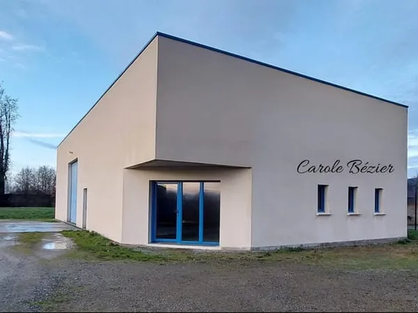 LOCAL PROFESSIONNEL