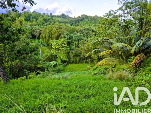 Terrain 1405 m²