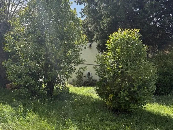 Maison Vente Avignonet-Lauragais  177m² 415000€