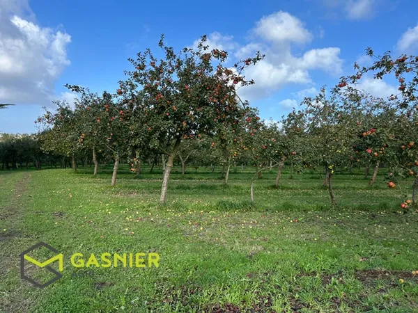 FINISTERE-NORD - Propriété cidricole 