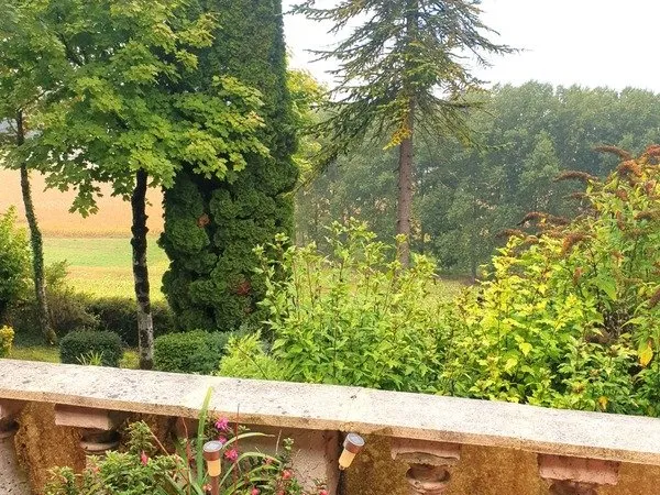 Maison viager à vendre 8 pièces SAINT FELIX (16) plain-pied, 3/4 Ch, terrain/bois 15 000 m² 
