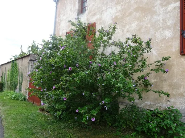 Dans les maranges, a l'écoute des oiseaux 