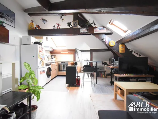 STUDIO - 51.81 m2 au sol - UNE CHAMBRE A PART - FAIBLES CHAR 