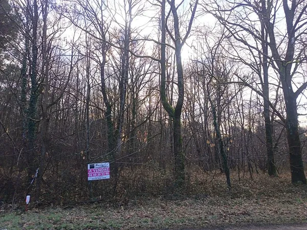 Terrain Chatillon Sur Cher 4073 m2 