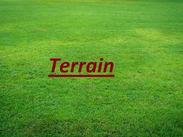 Terrain 8100 m² 