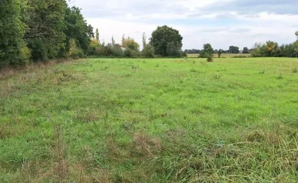 Terrain 12000 m²