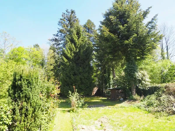 EXCLUSIF Giromagny - appartement T3/4 de 68 m2 avec jardin p