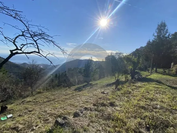 Terrain Non Constructible à Gorbio: Vue Panoramique