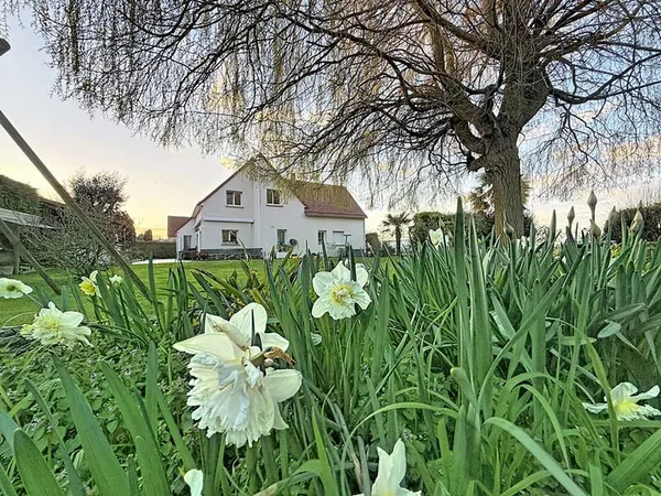 COLOMBY ANGUERNY - Maison de 8 pièces sur terrain de plus de 1 300 m2