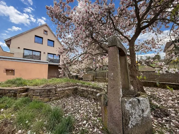 Maison avec dépendances - havre de paix et de charme