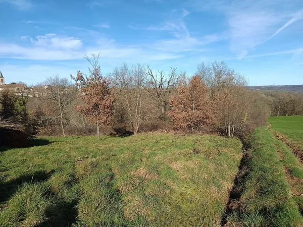 Terrain constructible