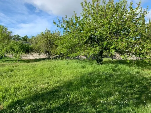 Terrain 1950 m²