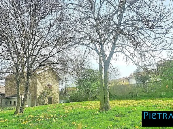 Aurec-sur-Loire - Charmante maison en pierre sur 1000 m² de ter