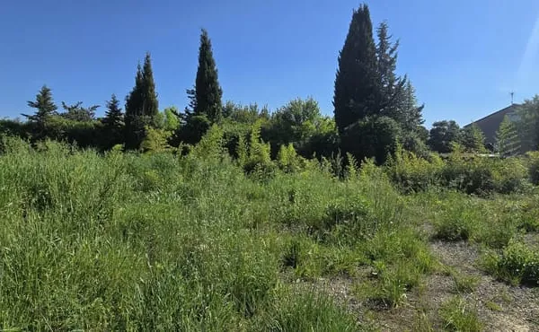 Terrain Constructible
