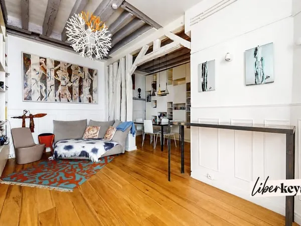 Charmant 3 pièces esprit loft avec double séjour