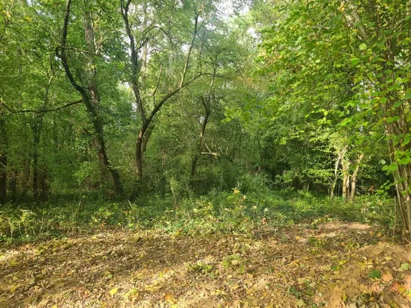 Terrain 2750 m²