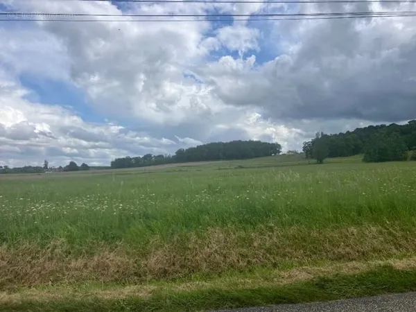 Terrain 1000 m²