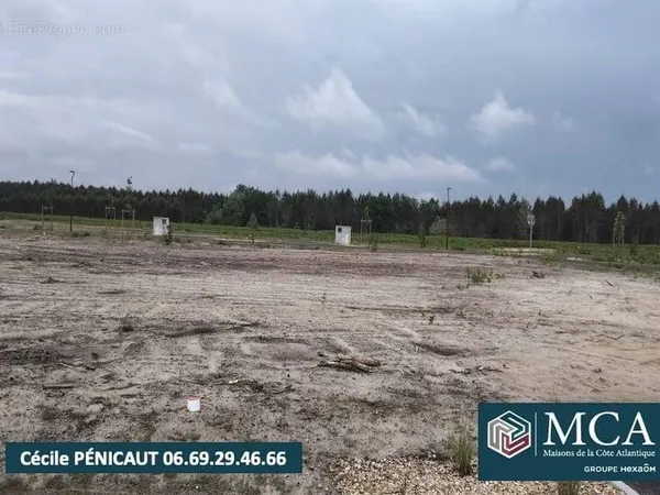 Terrain 736 m²
