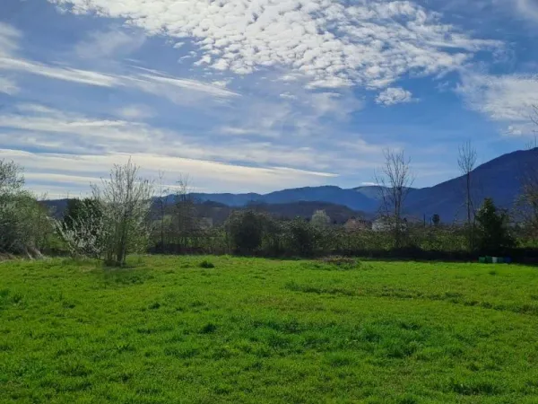 Terrain 1729 m²