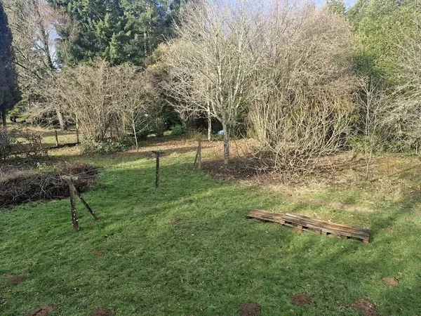 Terrain 3113 m²