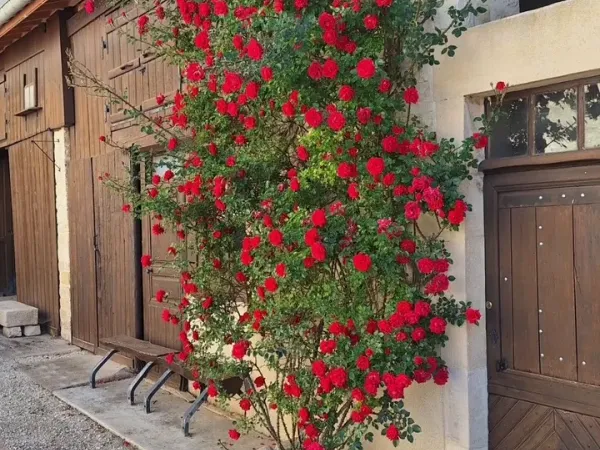 Maison 4 pièces 114 m²