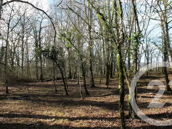 Terrain à bâtir 1255 m²