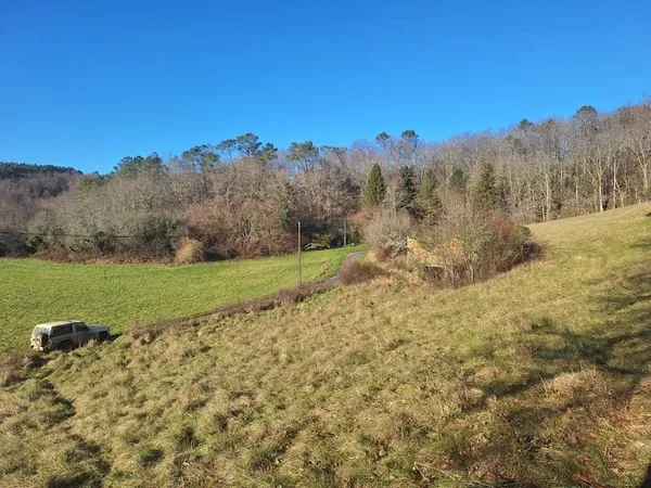 Terrain 10000 m²