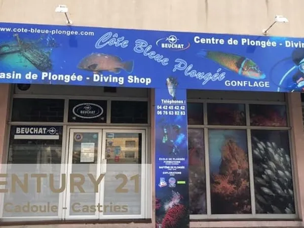 Commerce Vente Sausset-les-Pins   112359€