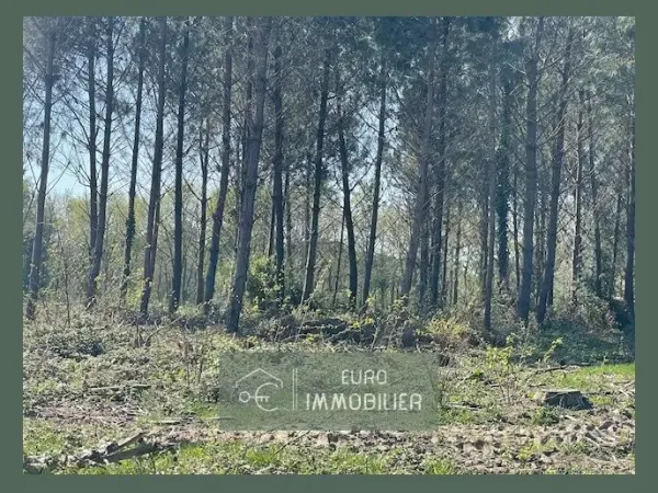 Terrain 50000 m²